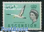 10p, White Booby, Stamp out of set