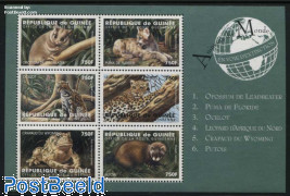 Animals 6v m/s