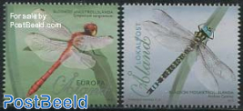 Dragonflies 2v