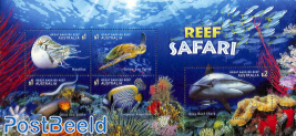 Reef Safari 5v m/s