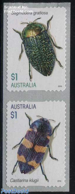 Beetles 2v s-a