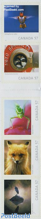 Photography, animals 5v s-a