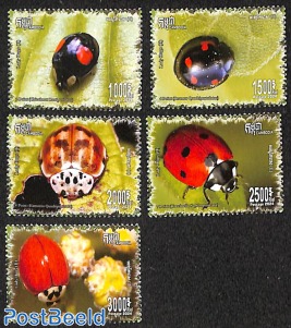 Ladybirds 5v