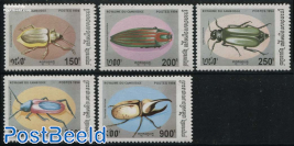 Beetles 5v
