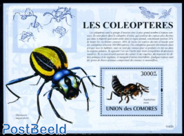 Beetles s/s