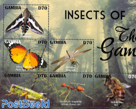 Insects 6v m/s