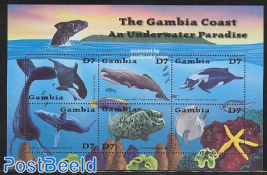 gambia coast 6v m/s