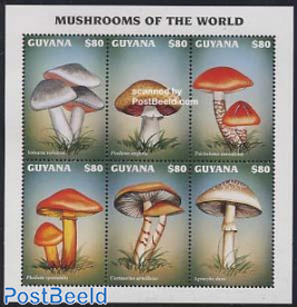 Mushrooms 6v m/s, Volvariella volvacea