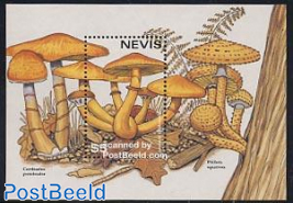 Mushrooms s/s, Gymnopilus junonius