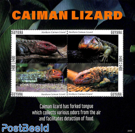 Caiman Lizard 4v m/s