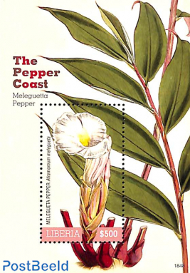 The Pepper Coast s/s