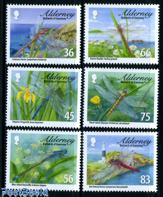 Dragonflies 6v