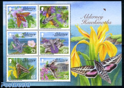 Hawkmoths 6v m/s