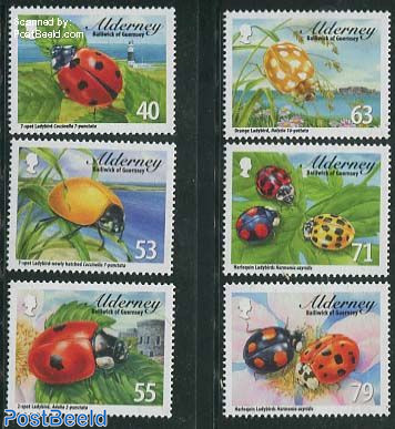 Ladybirds 6v