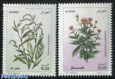 Medicinal Plants 2v