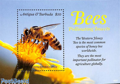 Bees s/s