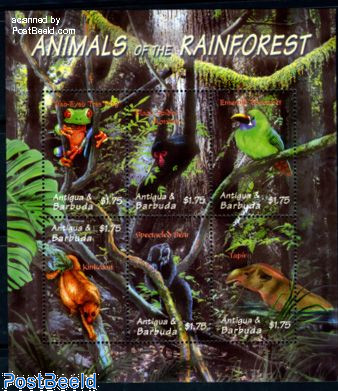 Rain forest animals 6v m/s