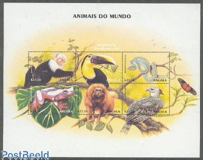 Animals 6v m/s, pithecia pithecia