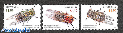 Cicadas 3v