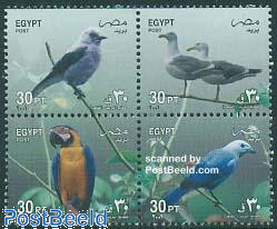 Birds 4v [+]