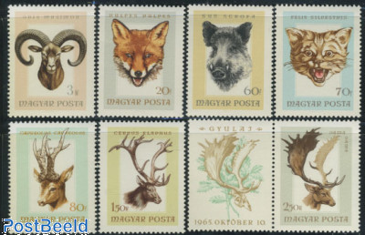Hunted Animals 7v