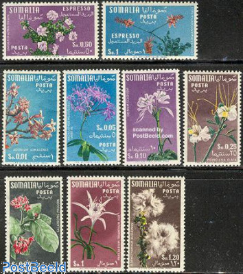 Flowers 9v