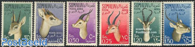 Antelopes 6v