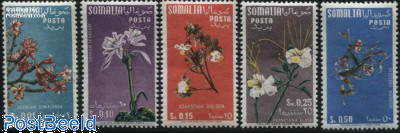 Flowers 5v