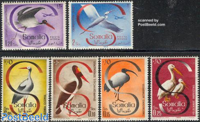 Birds 6v