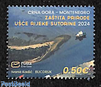 Sutorina river 1v