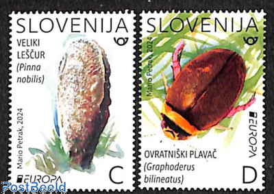 Europa, marine life 2v