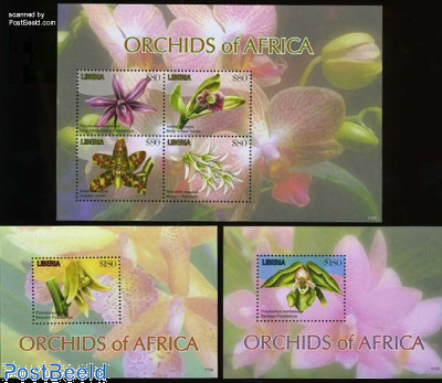 Orchids 3 s/s