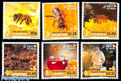 Life of the Bee 6v