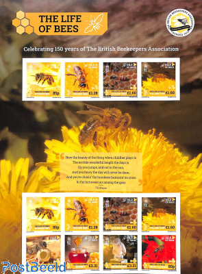 Life of the Bees m/s s-a