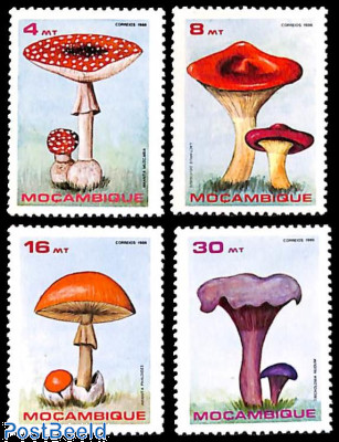 Mushrooms 4v