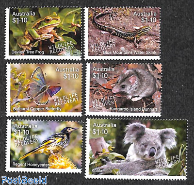 Wildlife recovery 6v