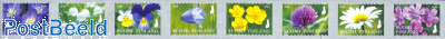 Flowers 8v s-a