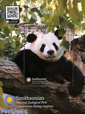 Panda bears s/s