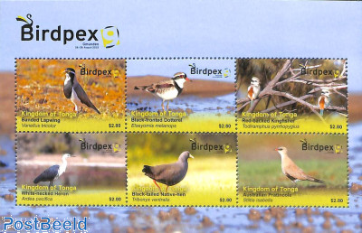 Birdpex 6v m/s