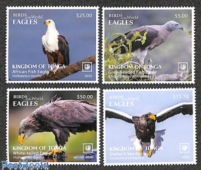 Eagle 4v, white borders