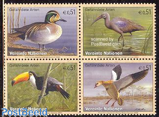 Birds 4v [+]