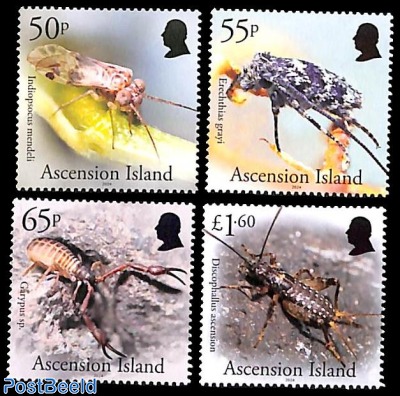 Insects 4v