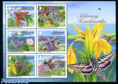 Hawkmoths 6v m/s