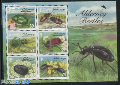 Alderney Beetles 6v m/s