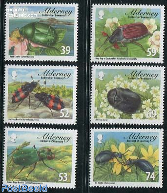 Alderney Beetles 6v