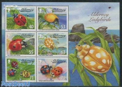 Ladybirds 6v m/s