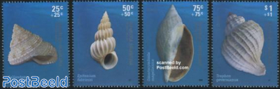 Shells 4v