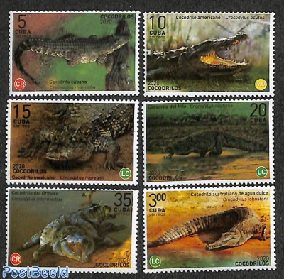 Crocodiles 6v