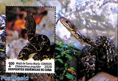 Snakes s/s