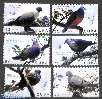 Pigeons 6v